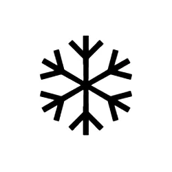 Snowflake Webp Image